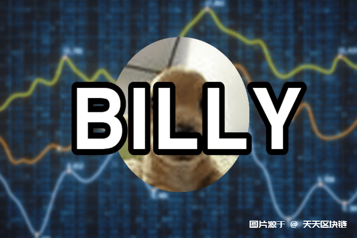 BILLY币评测：便捷的数字支付新选择